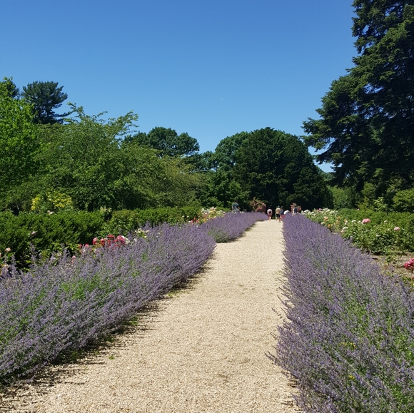 Posher - Picture 3 of 4